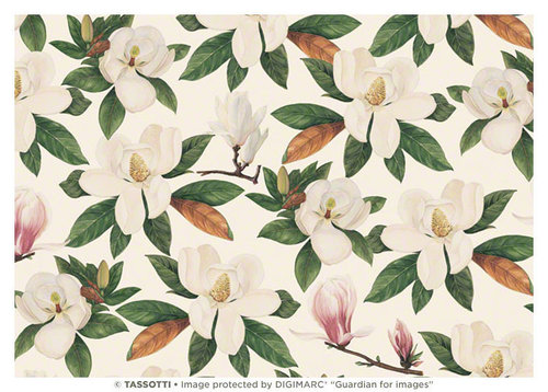 Tassotti Paper Magnolia